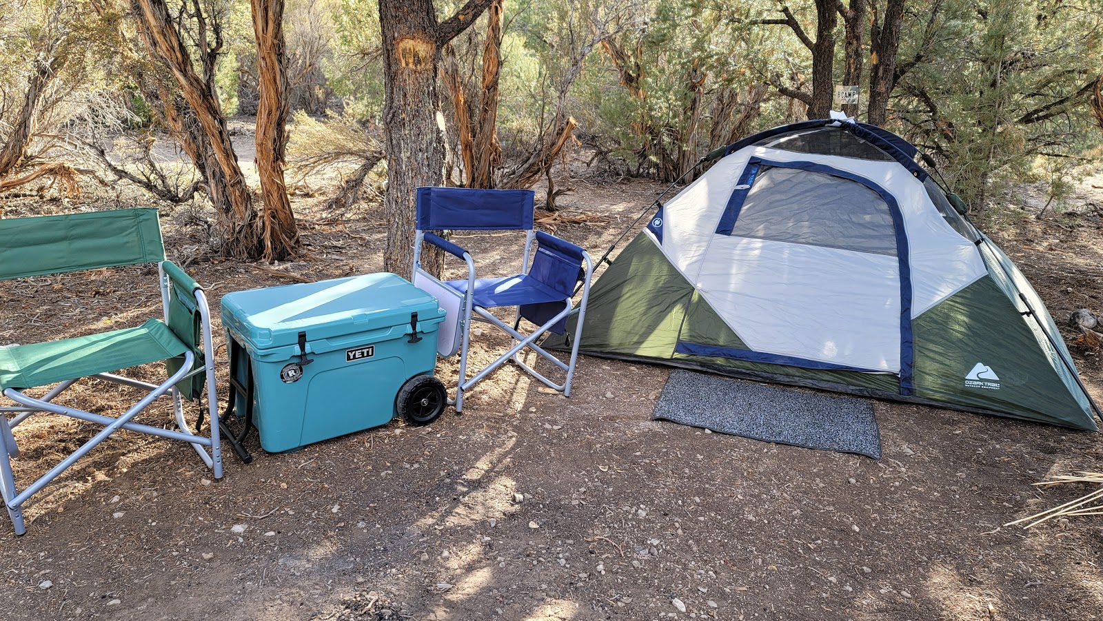 Blue Tree Group Camp