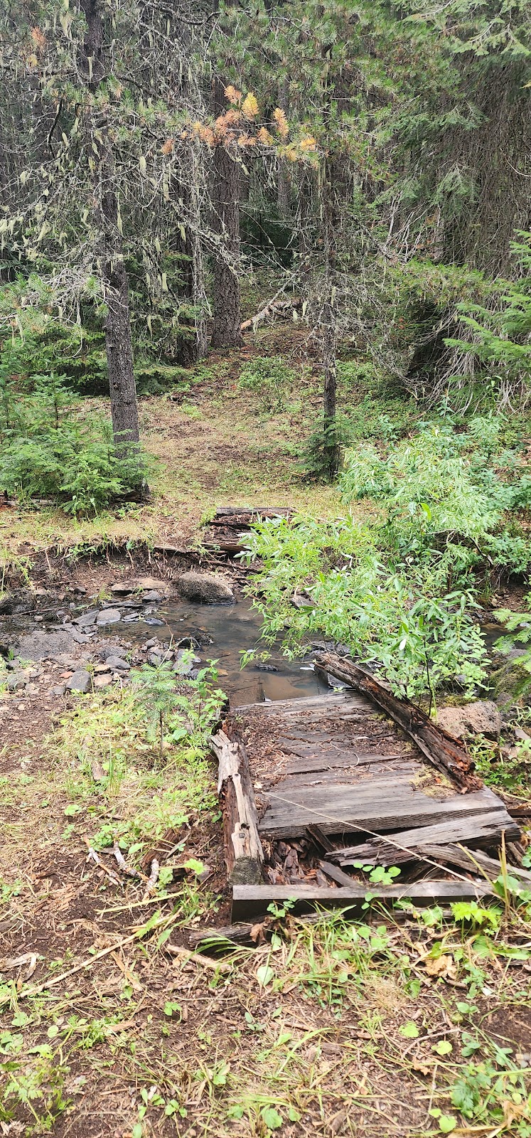 Daley Creek Campground