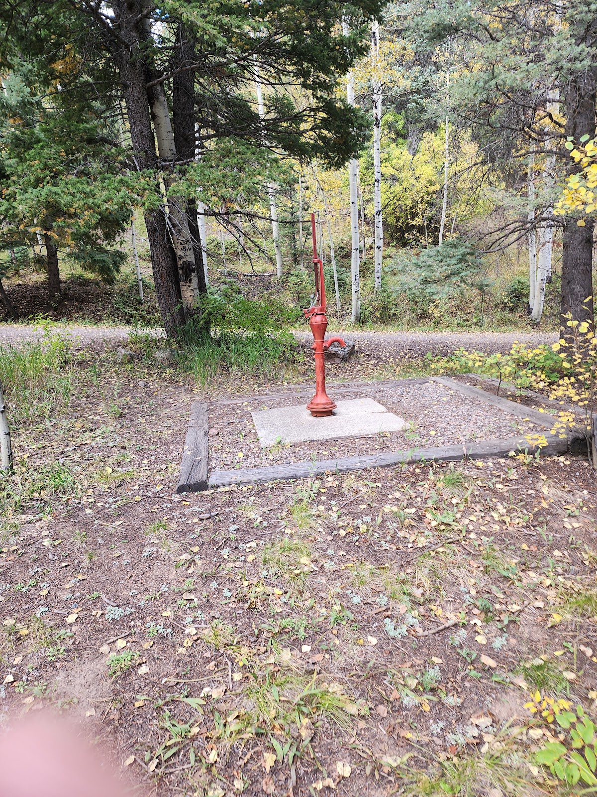 Spruce Group - Lake Isabel