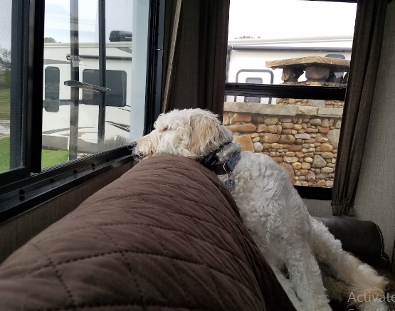 Anchor Down RV Resort