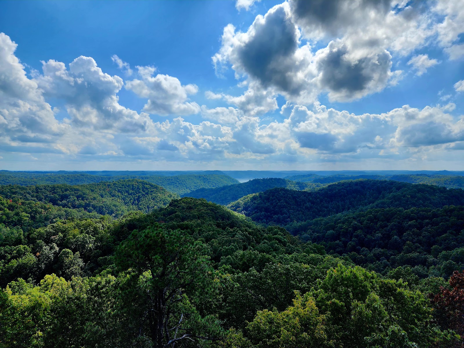 Daniel Boone National Forest