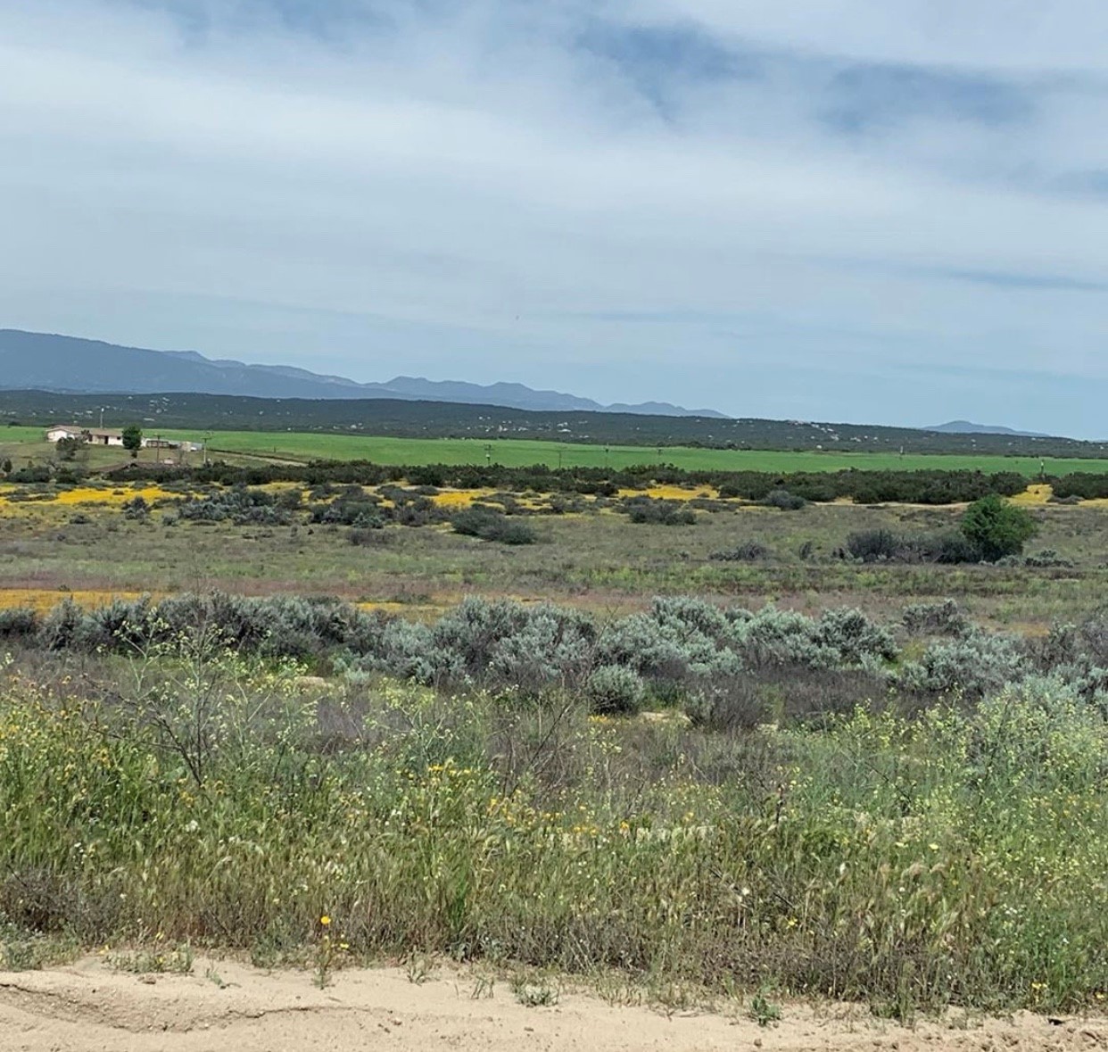 Cowboy Country Campground