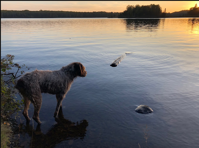 Devil Track Lake Campground