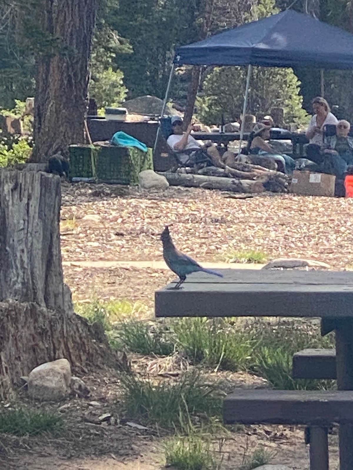 Deer Creek Campground