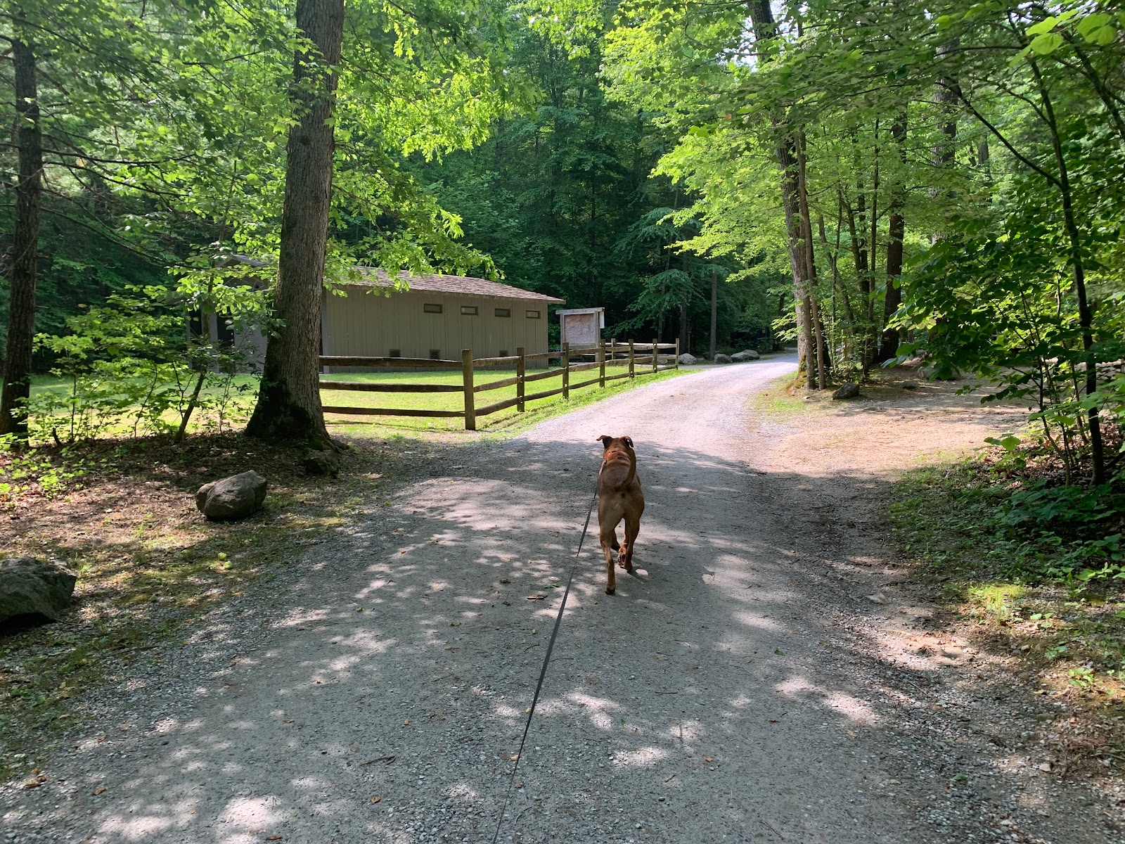 Cave Mountain Lake Recreation Area