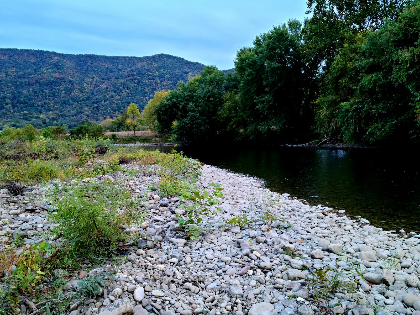 Riverside Cabins & RV Park