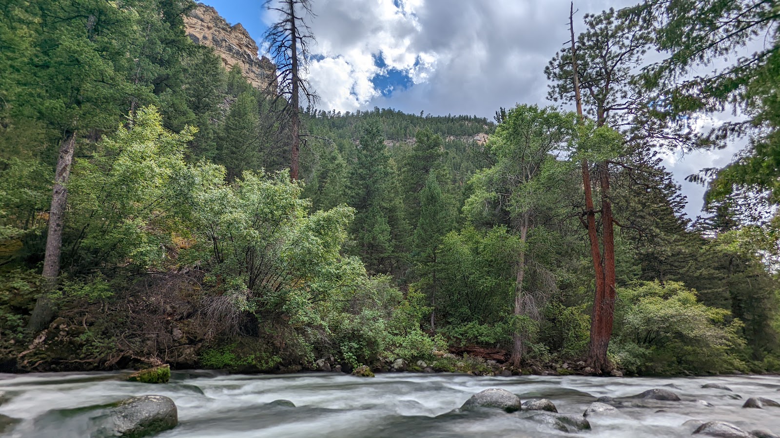 Leigh Creek Campground