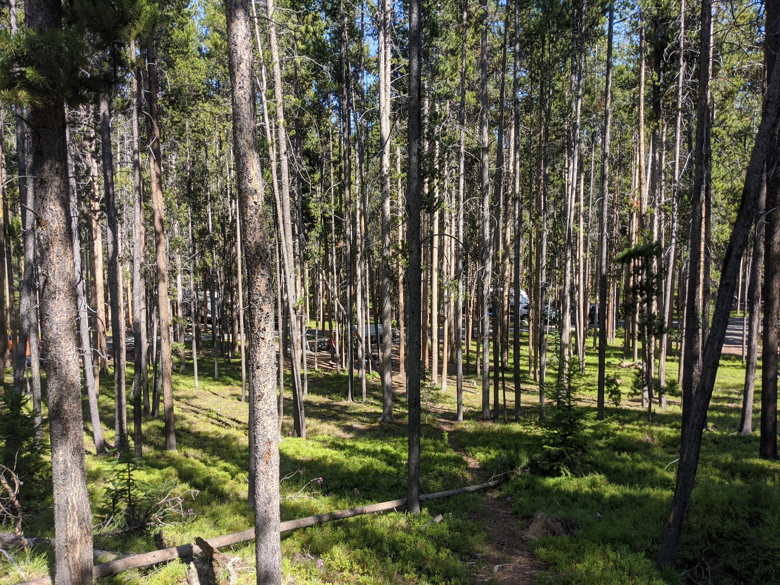 Philipsburg Bay Campground