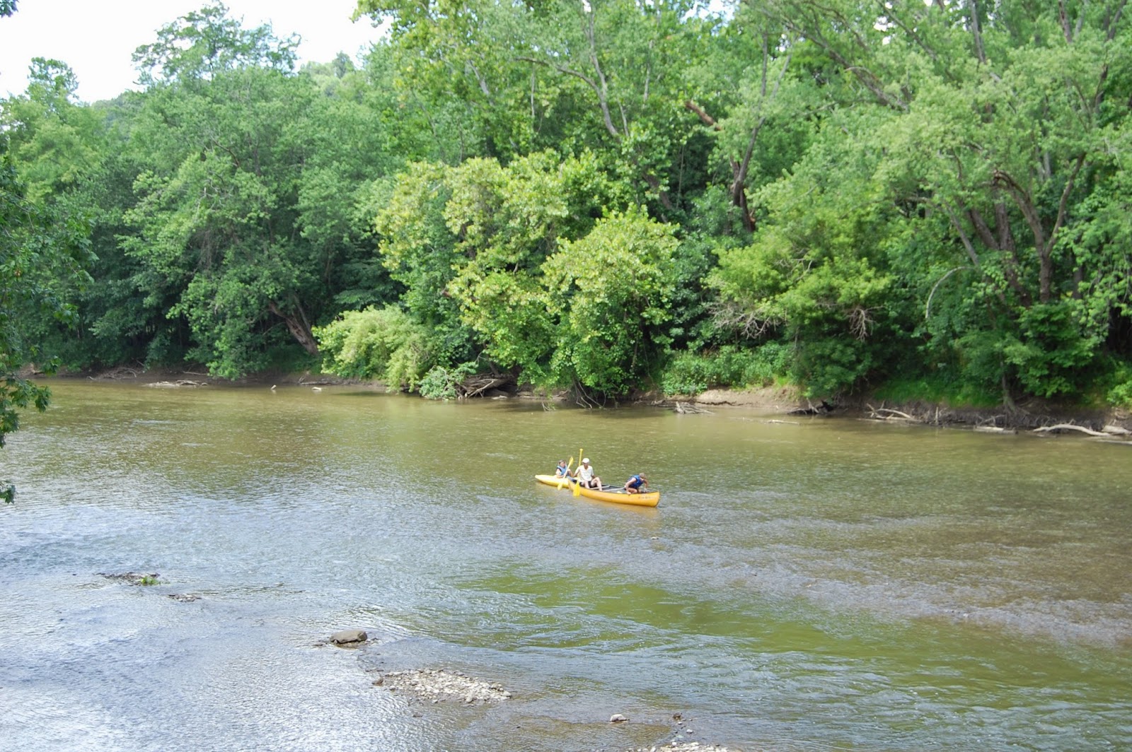 Wally World Camping Resort