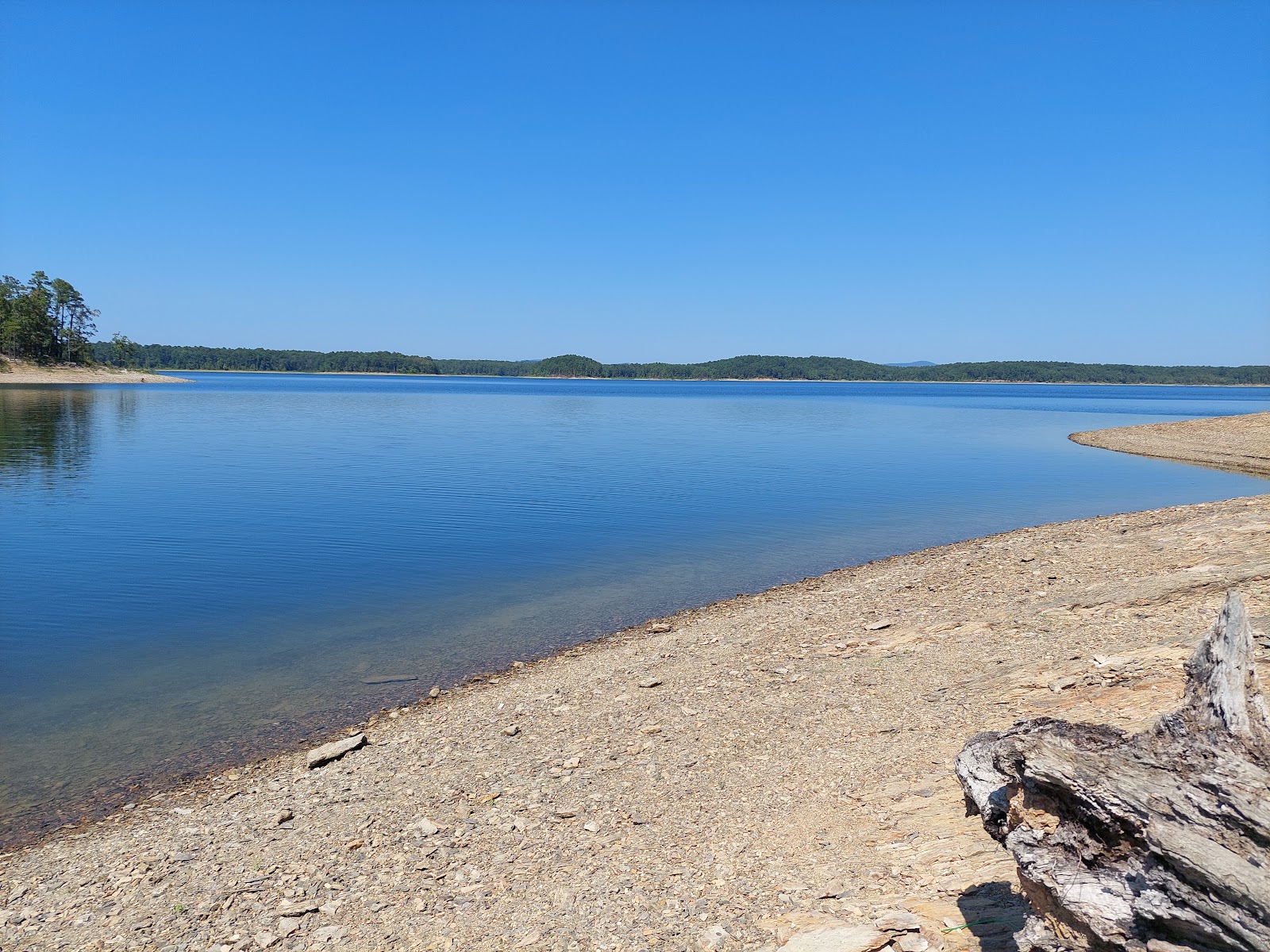 Big Fir Public Use Area