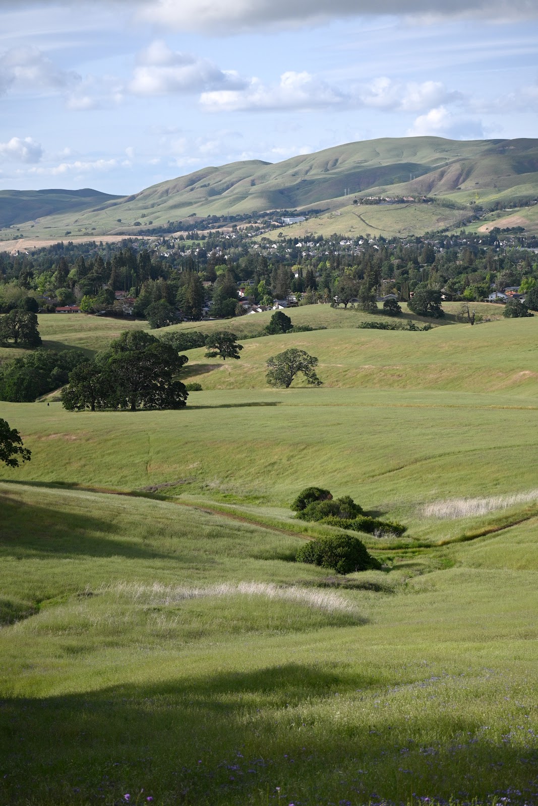 Junction - Mt Diablo State Park