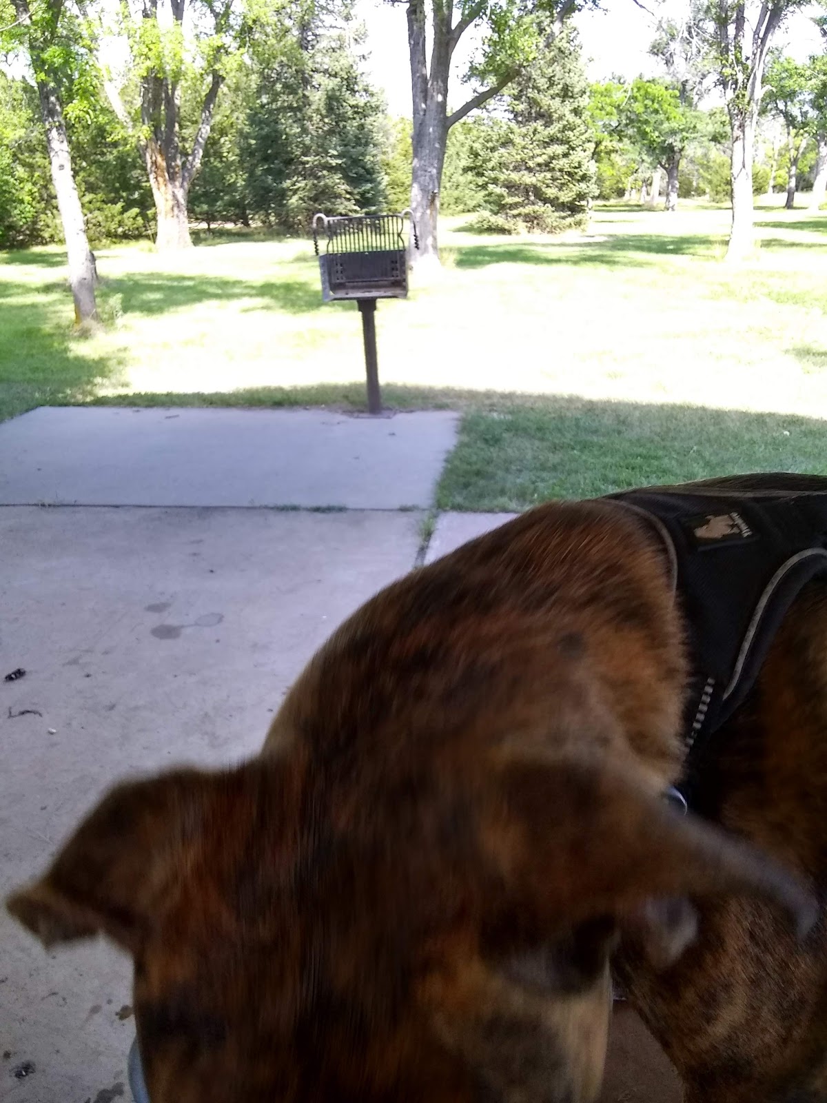 Hugh Glass Campground