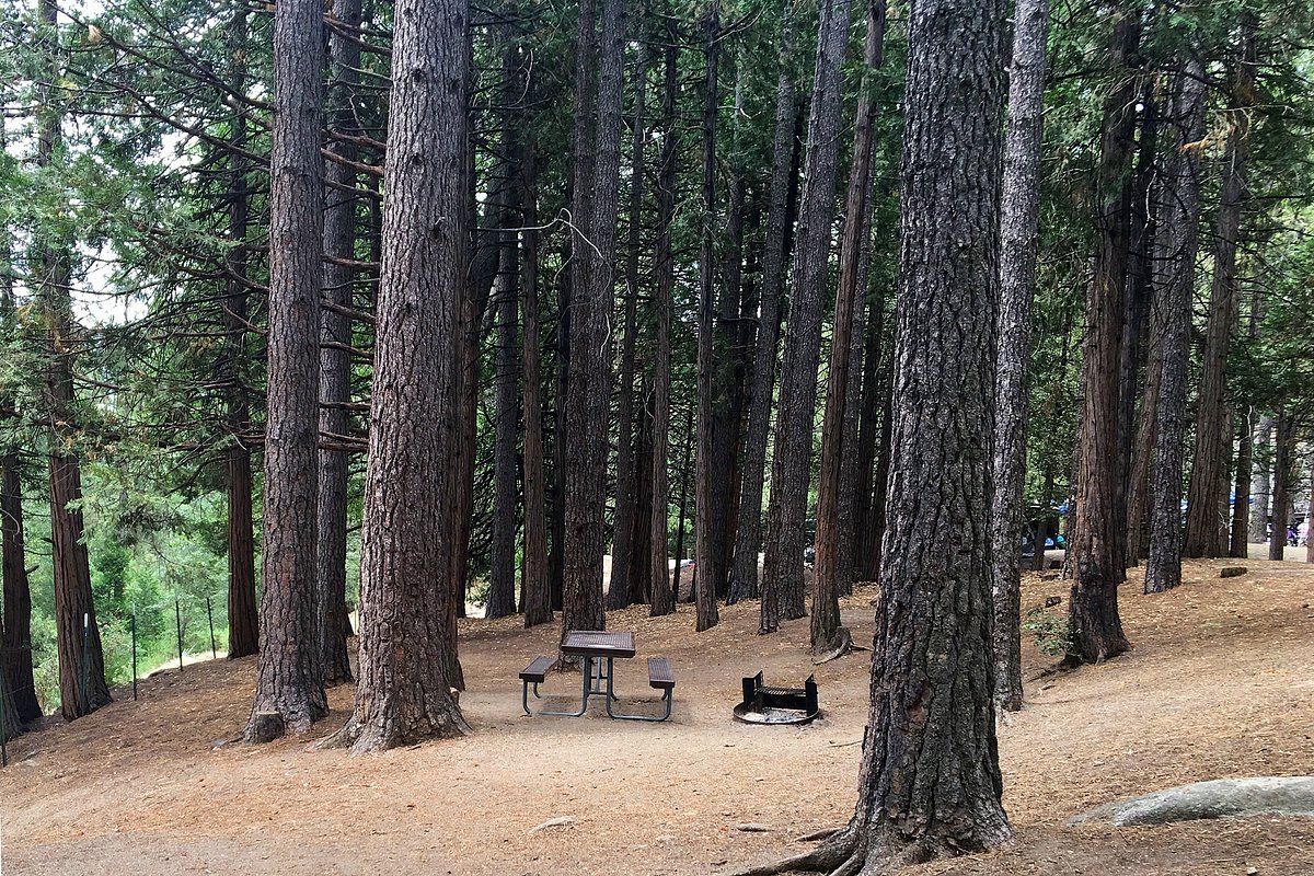 Idyllwild County Park