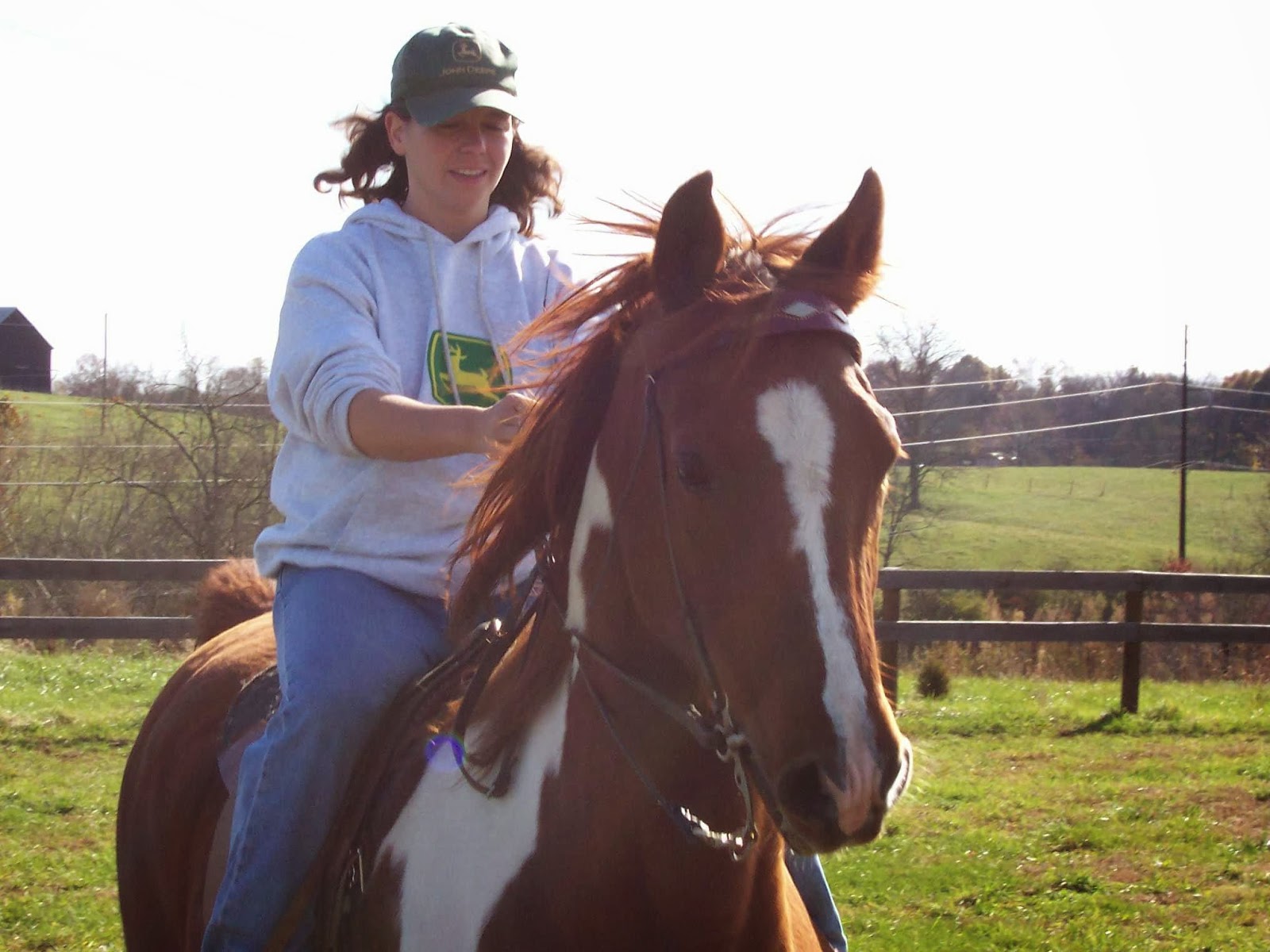 Mint Lick Lodge B&B & Horse Layover