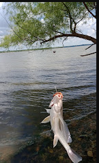 Canning Creek Camping