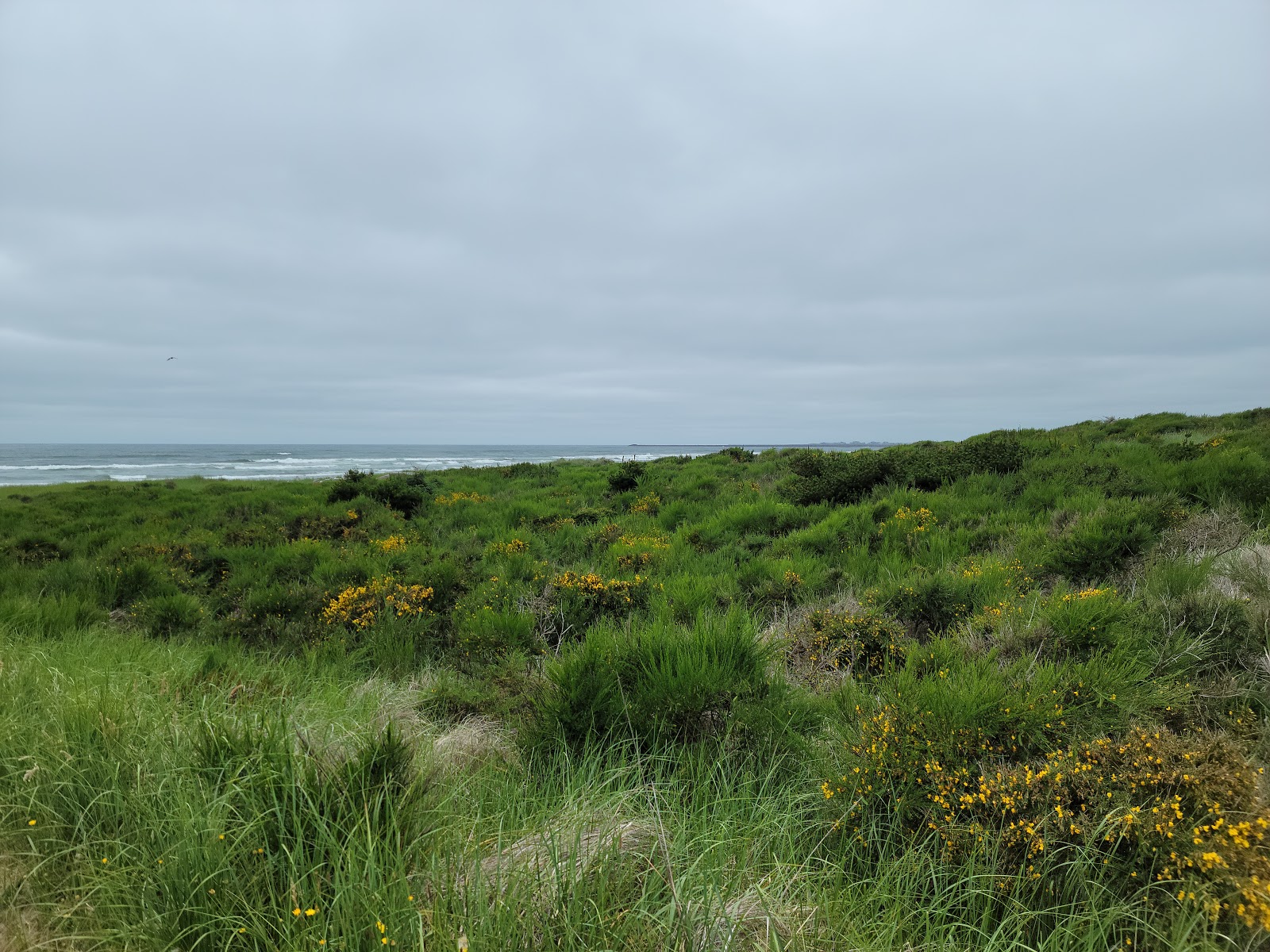 Westport Recreation Park