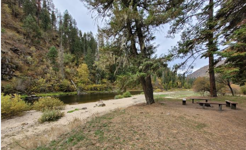 South Fork Group Site 5 - Nez Perce Nf (ID)