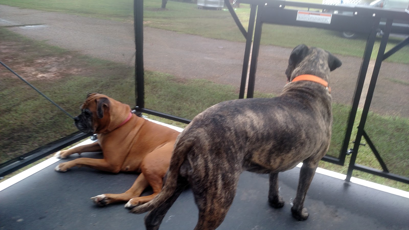 Forest Country RV Park