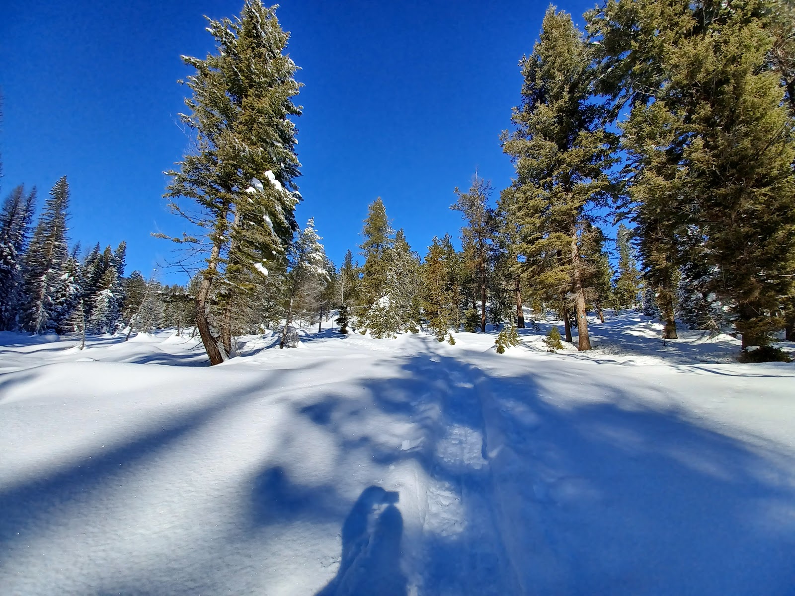 Whoop-Em-Up Equestrian Campground