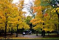 Nick and Cathys Black Bear Bar and Campground