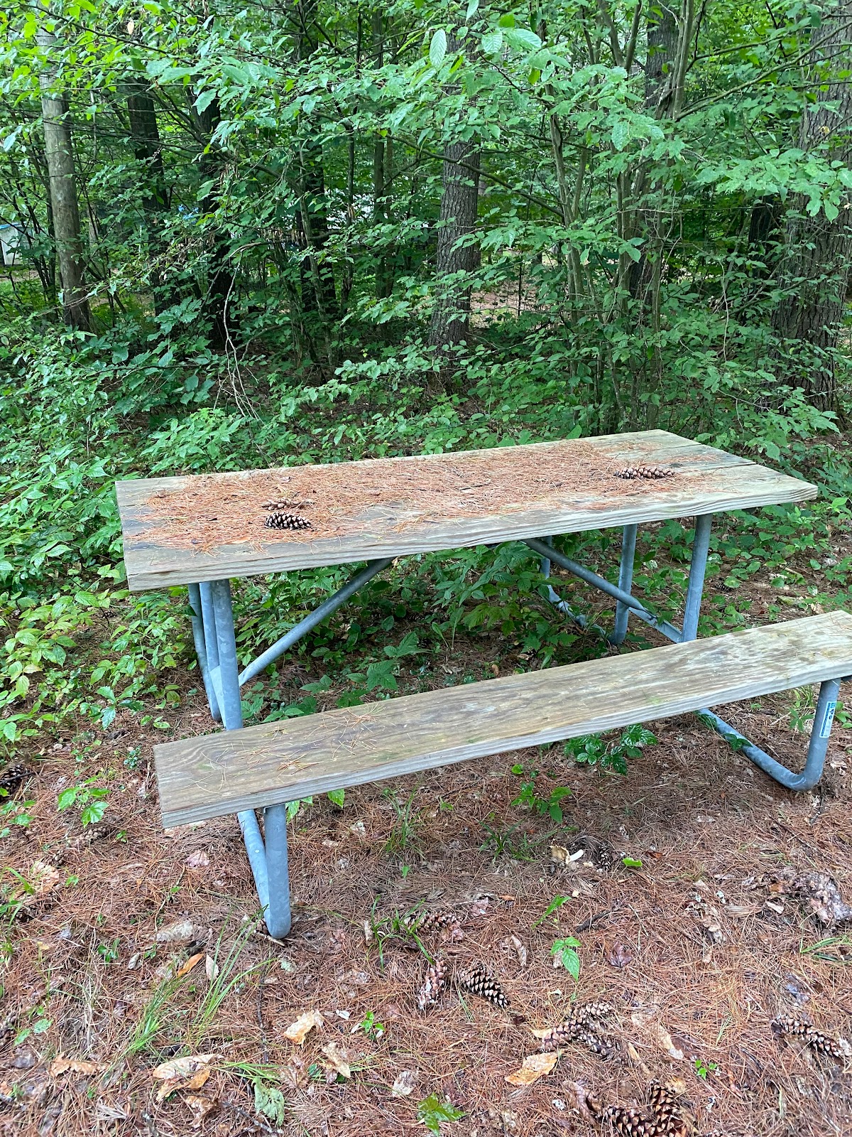 Schroon River Campsites