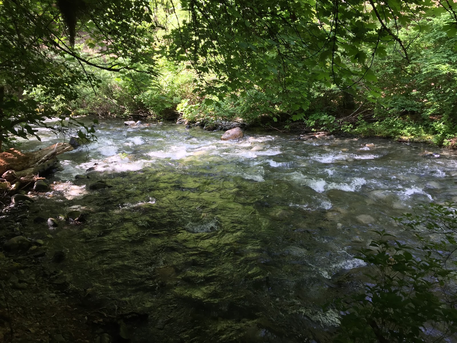 Rush Creek Campground