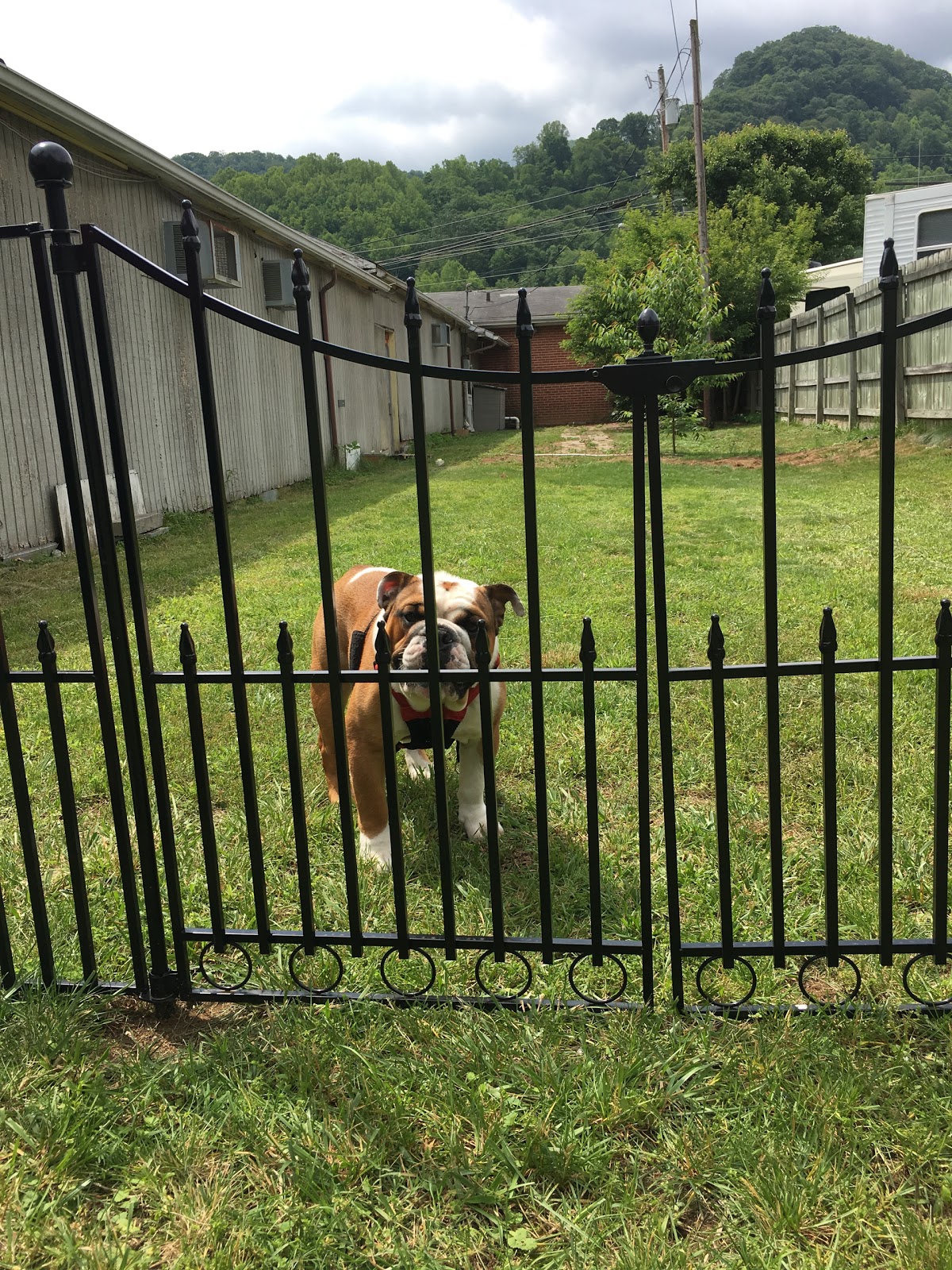 Rippling Waters Creekside RV Park