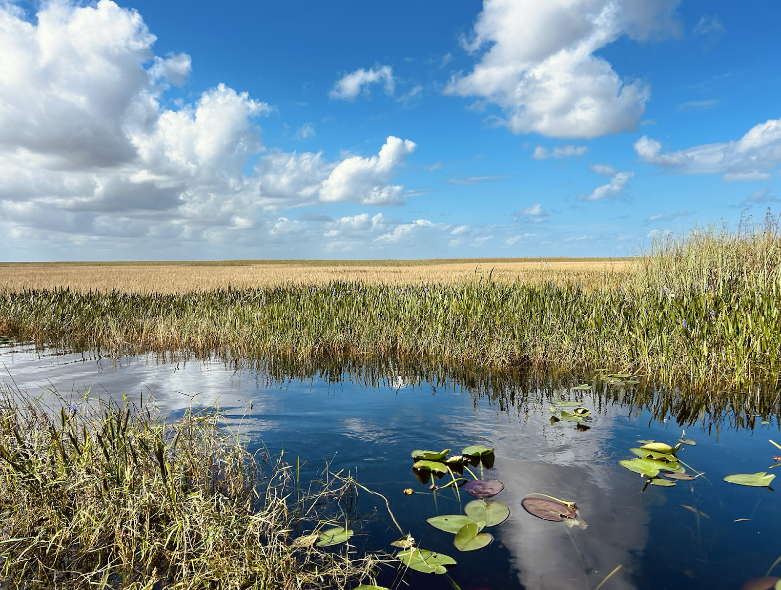 Backcountry Willy Willy - Everglades National Park
