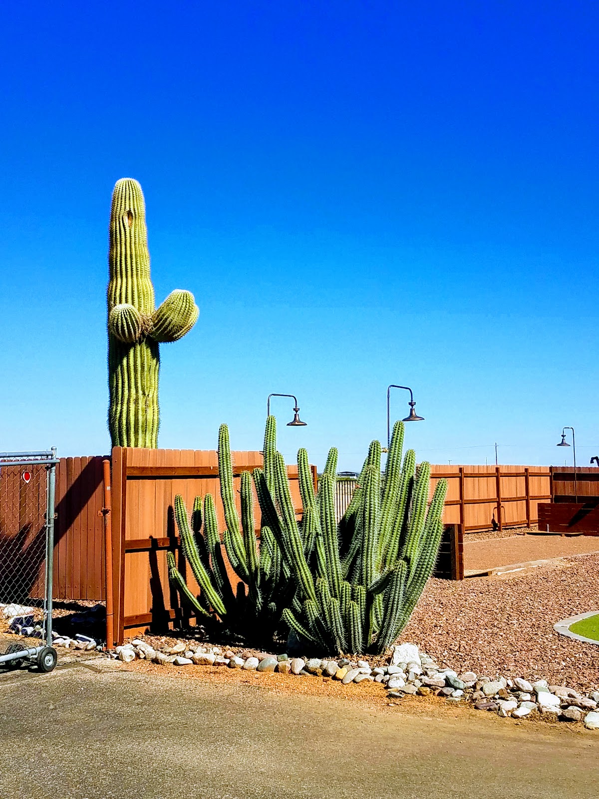 Las Colinas Motor Home-RV Resort