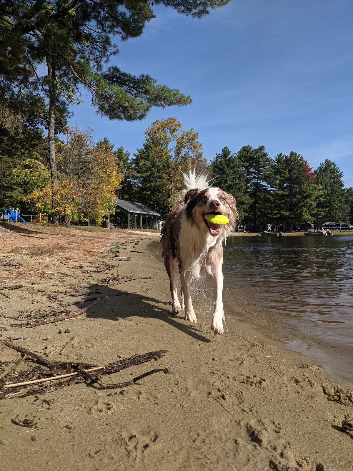 West Arbutus County Park Campground