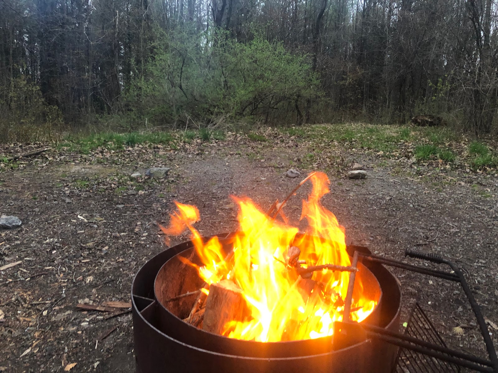 Blueberry Patch Campground