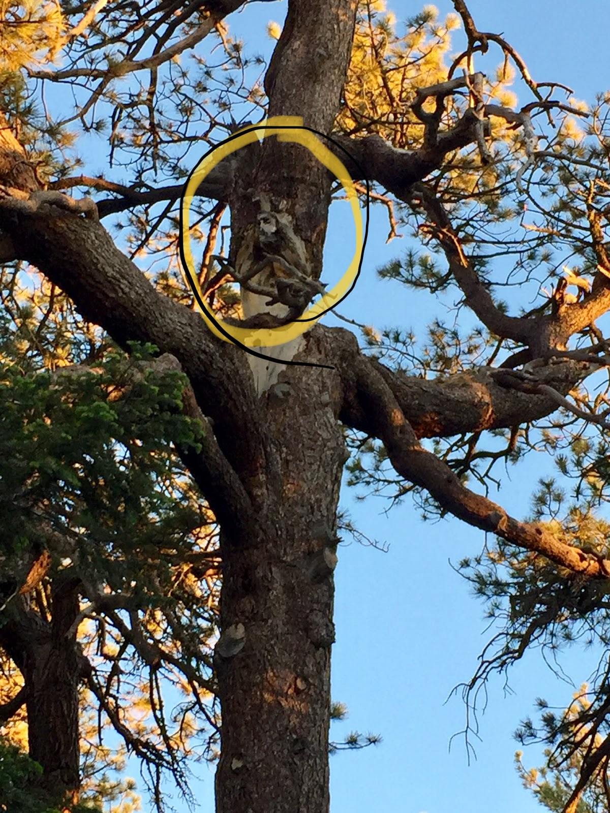 Campo Alto Campground