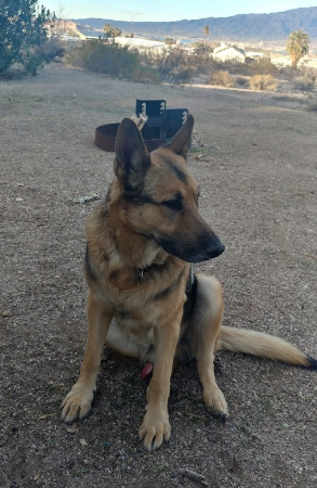 Temple Bar Campground And RV - Lake Mead National Rec Area