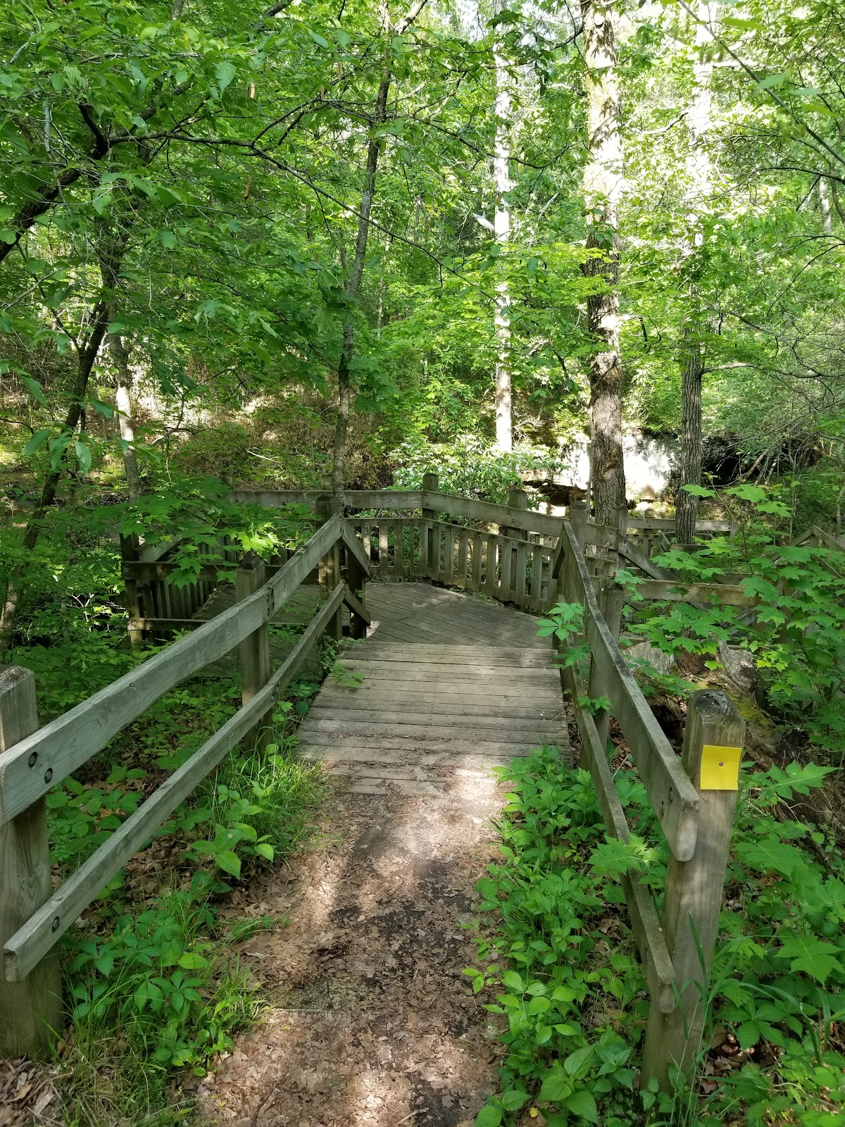 Graham Cave State Park