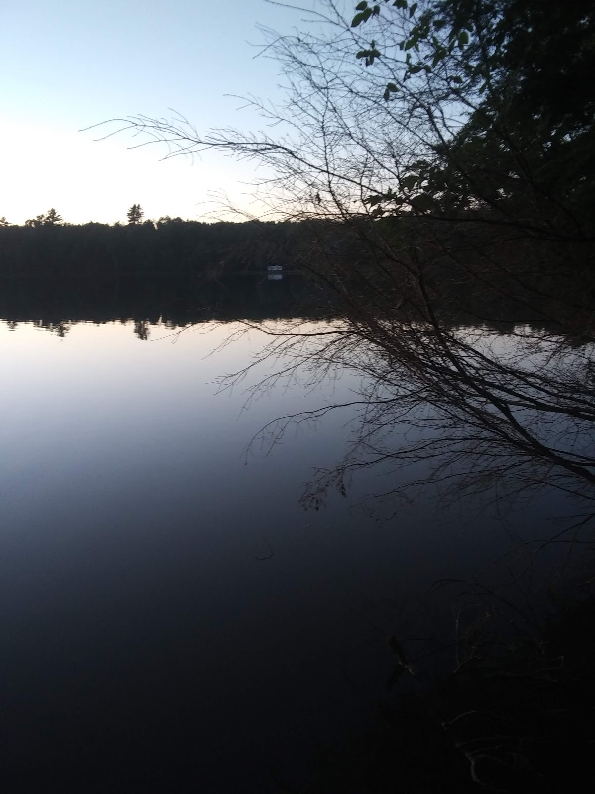 Courtney Lake Campground