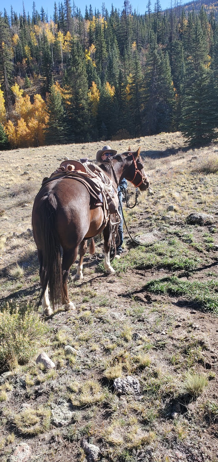 Ivy Creek Campground
