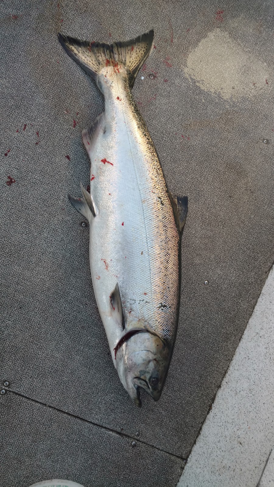 Aview Mobile RV Cabins