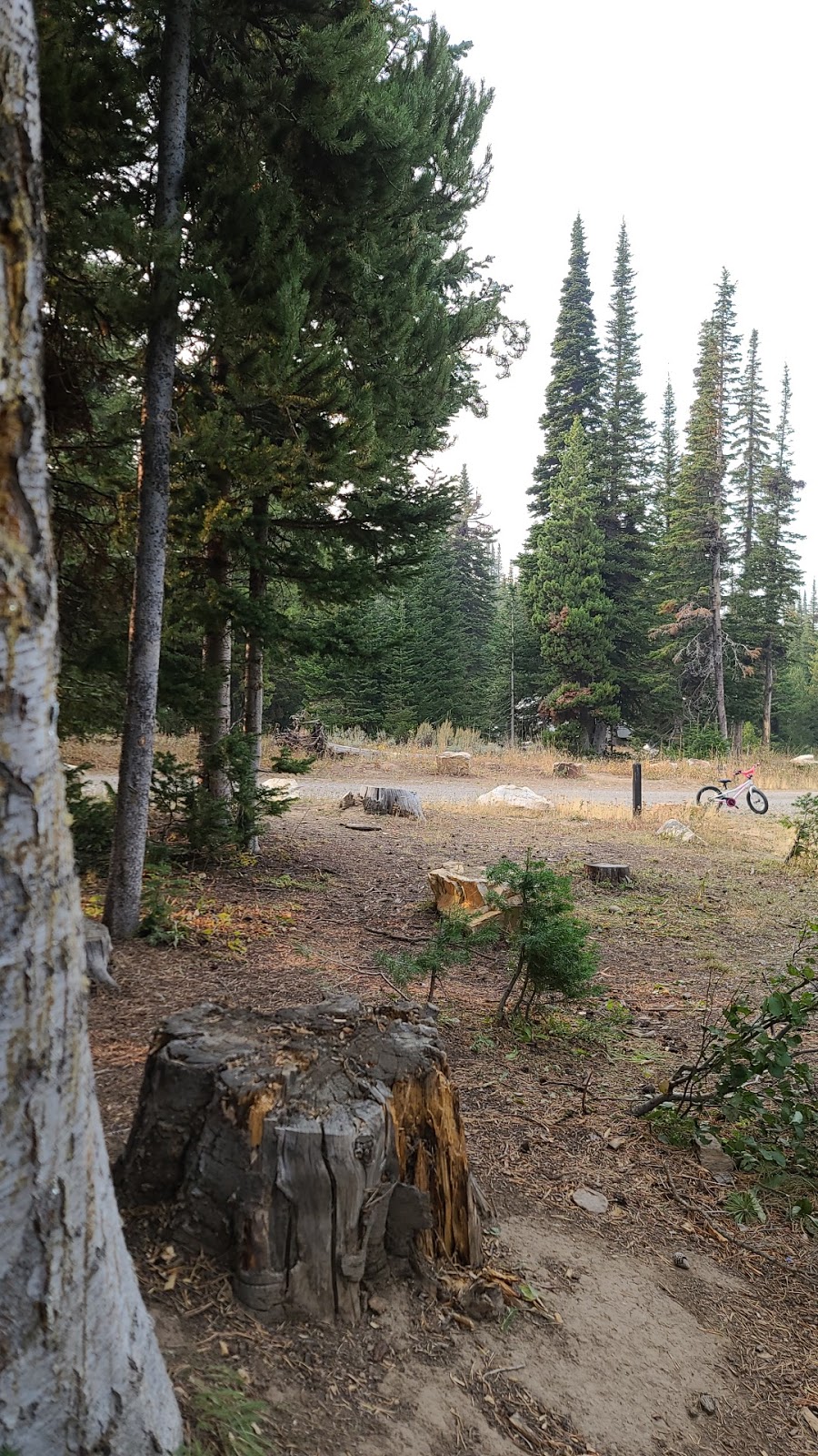 Thompson Flat Campground