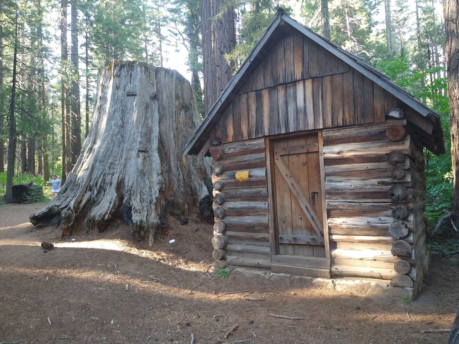 Nelder Grove Campground