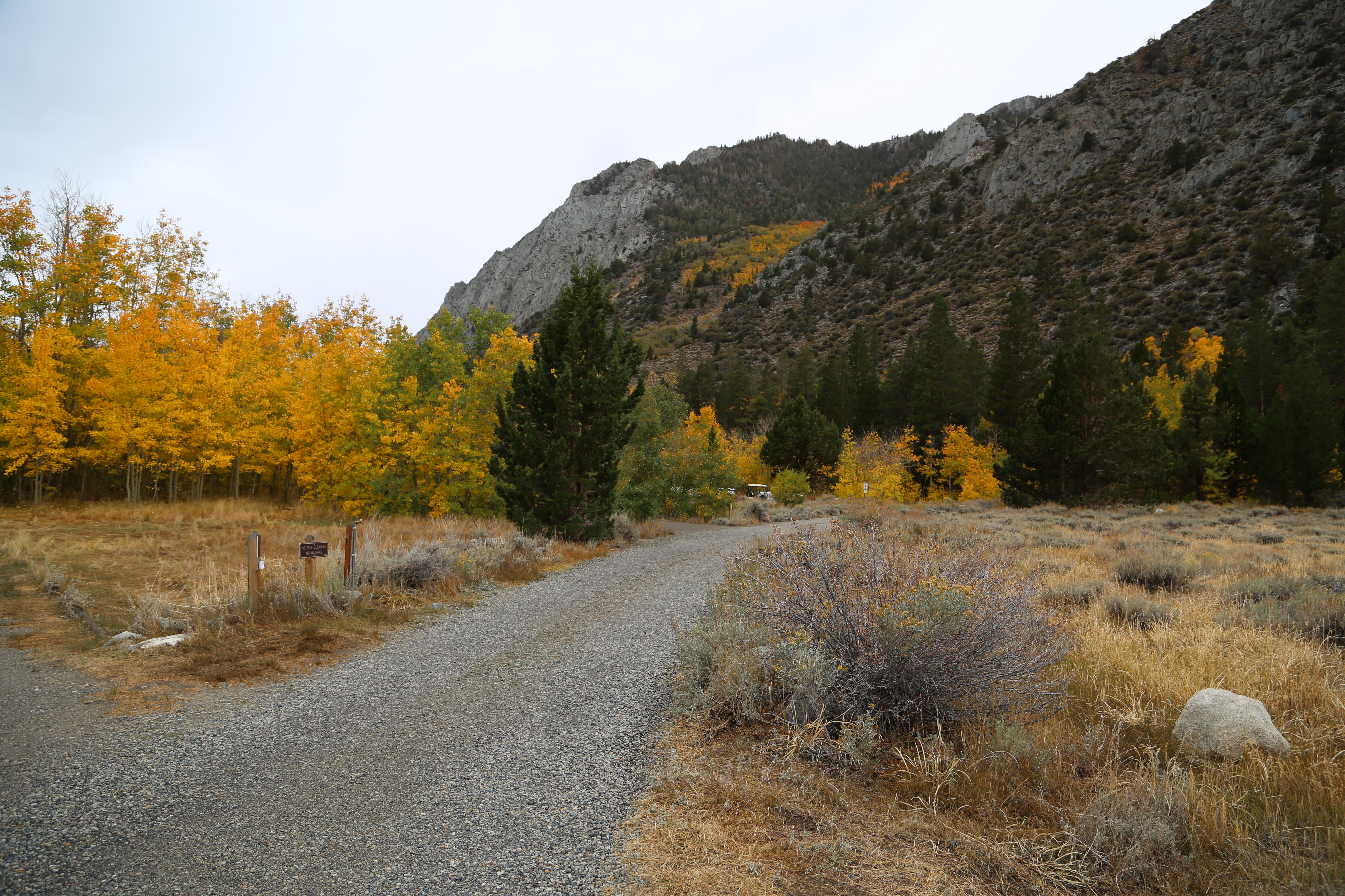 Iris Meadow Campground
