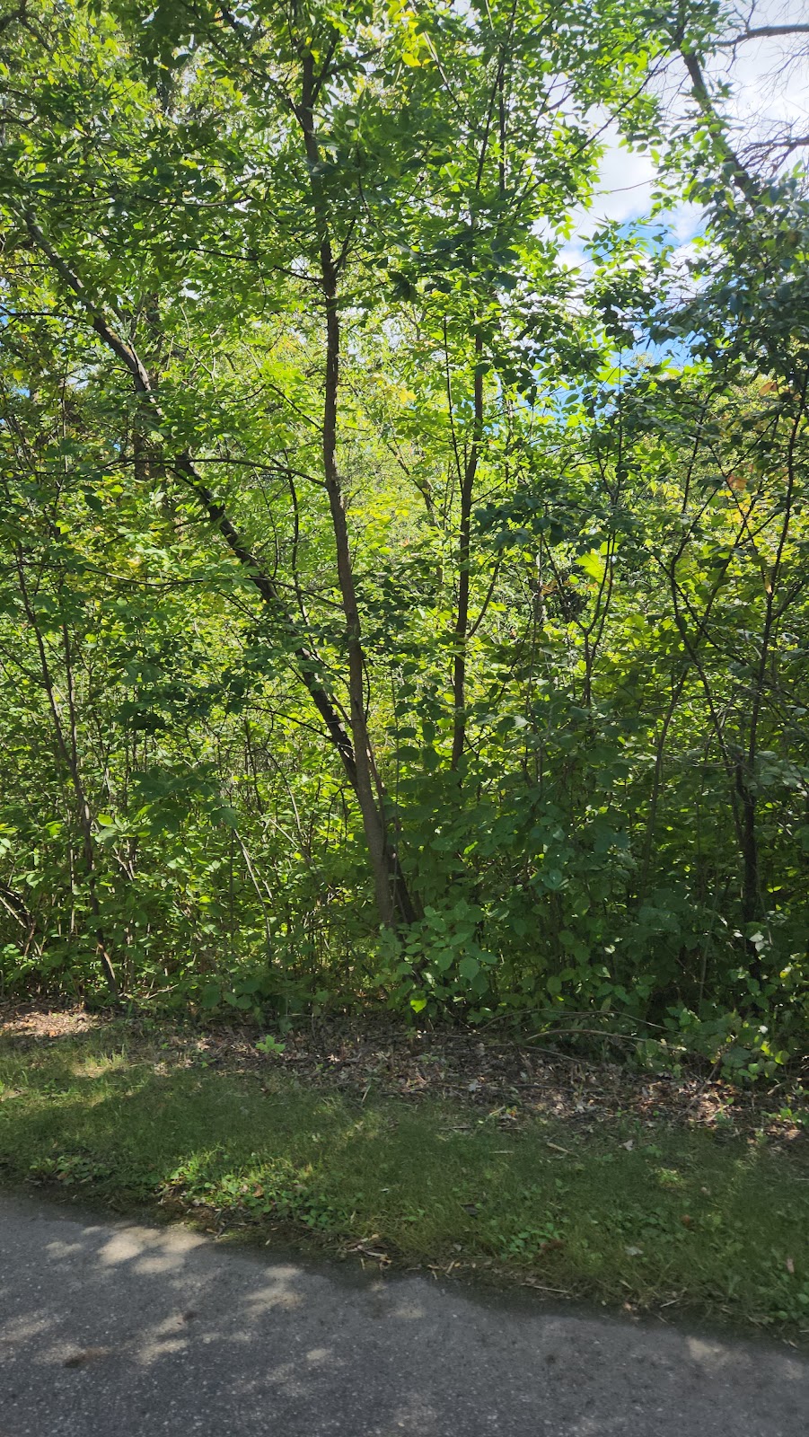 Two Rivers - Lake Bronson State Park