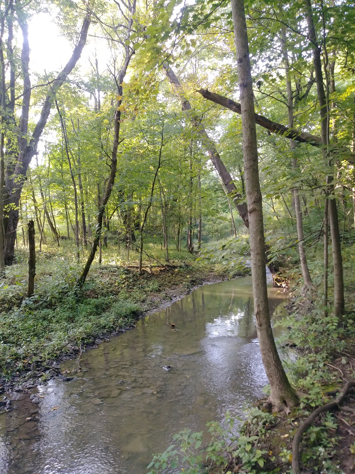 Pecatonica River Forest Preserve