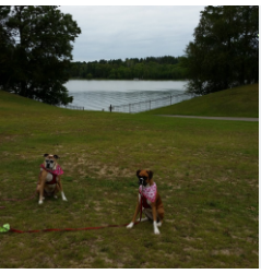 Heartland Trailside RV Camping