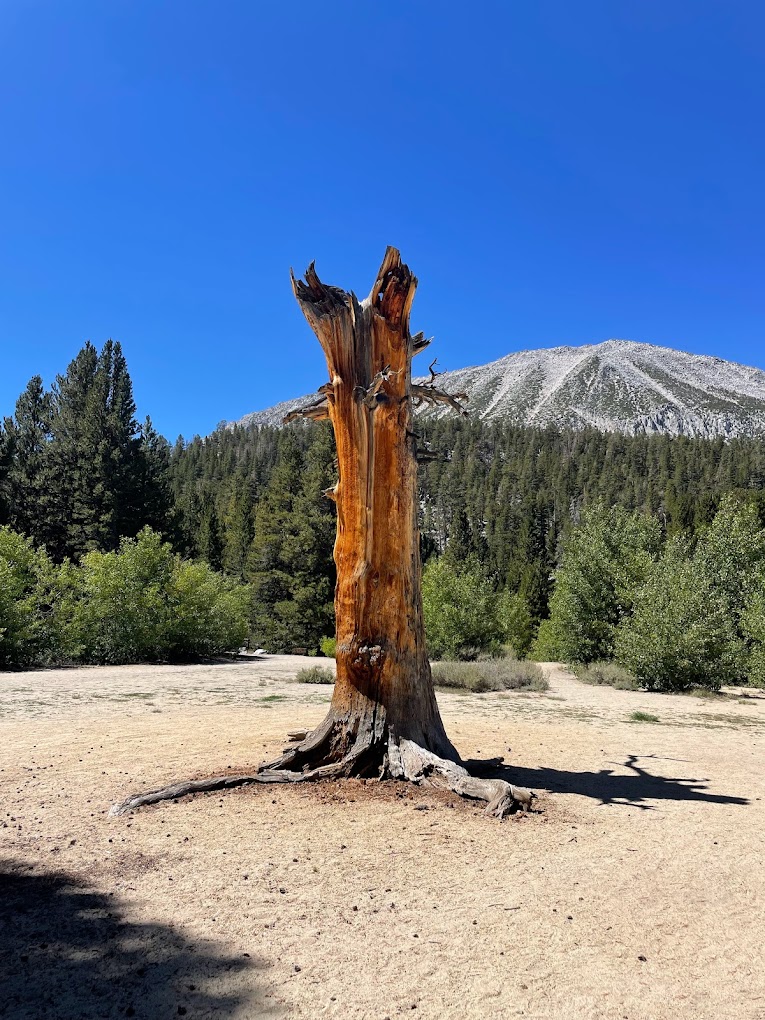 Rock Creek Lake (Inyo National Forest, CA)