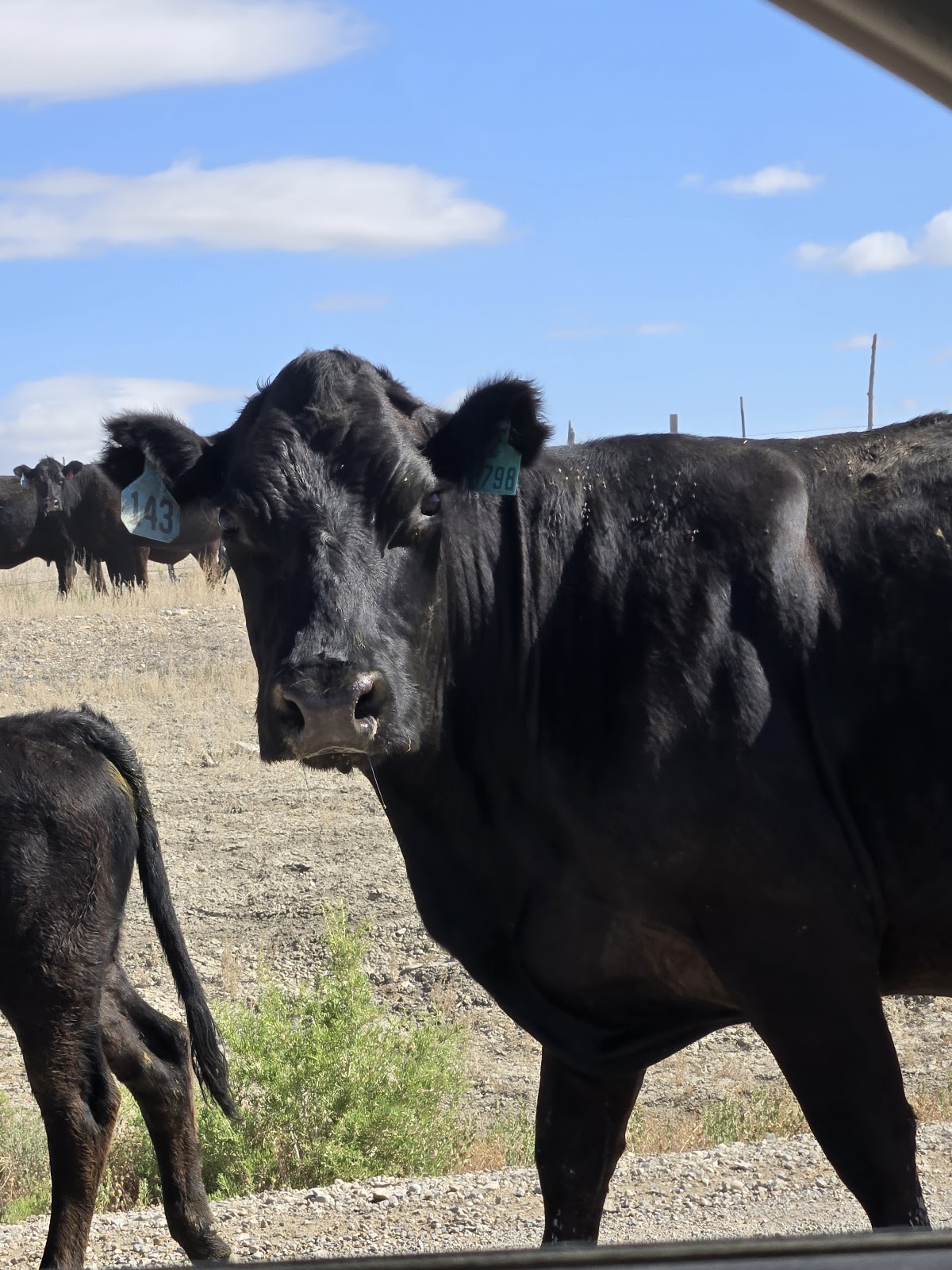 Joes Valley Campground and Boat Ramp