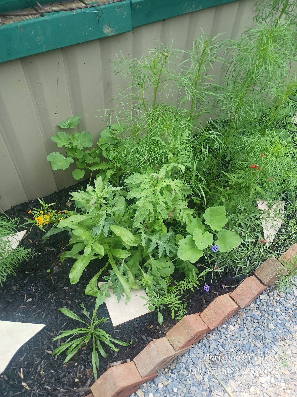 Horseshoe Campground