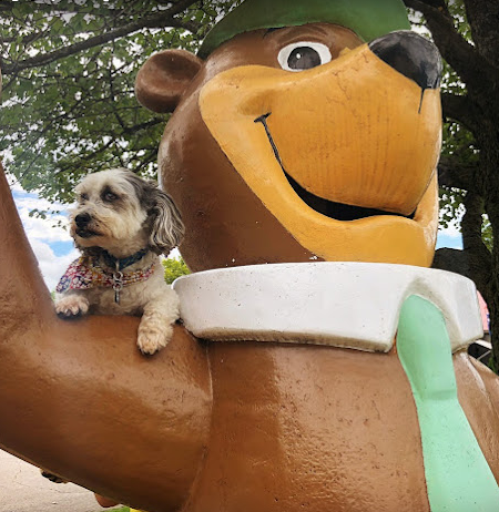 Frankenmuth Jellystone Park Camp Resort