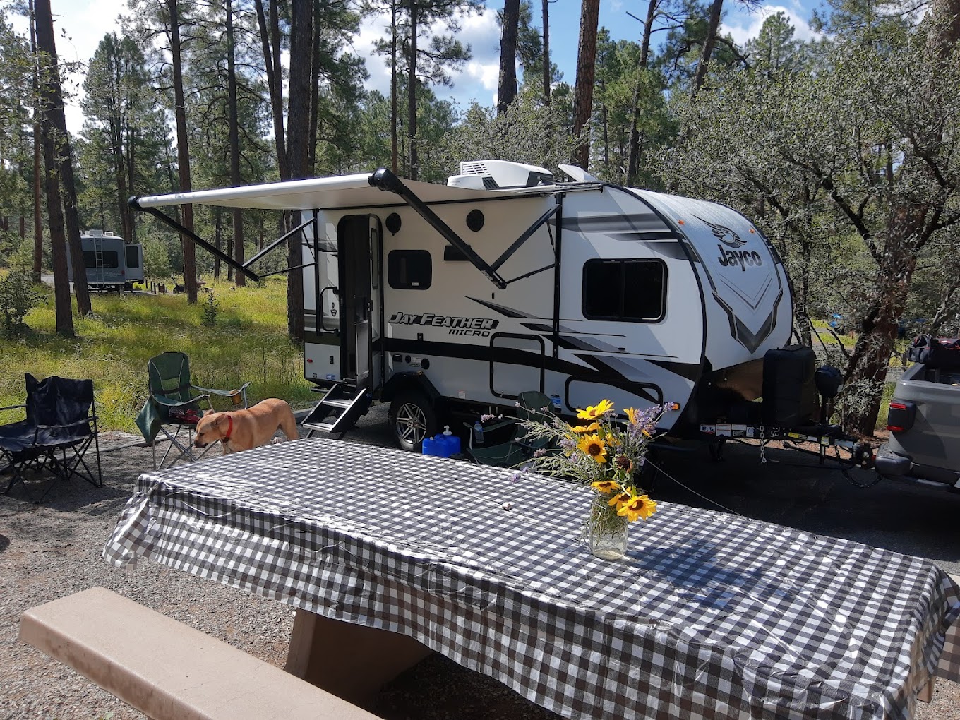 White Spar Campground