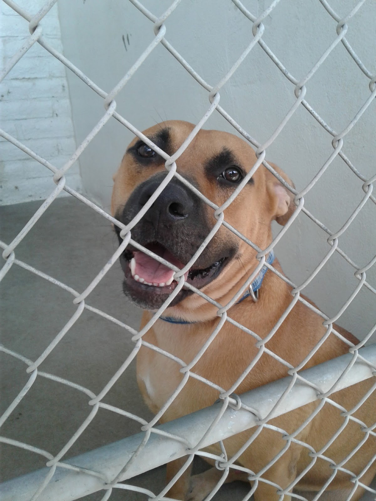 Bureau of Land Management