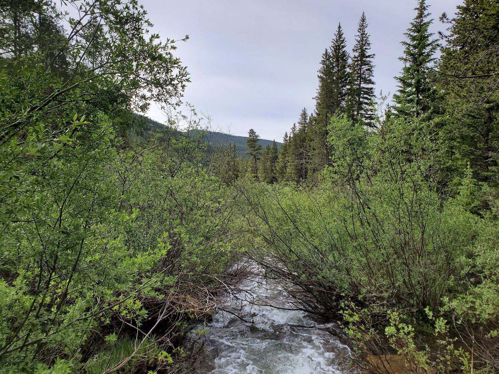 Gold Creek Campground